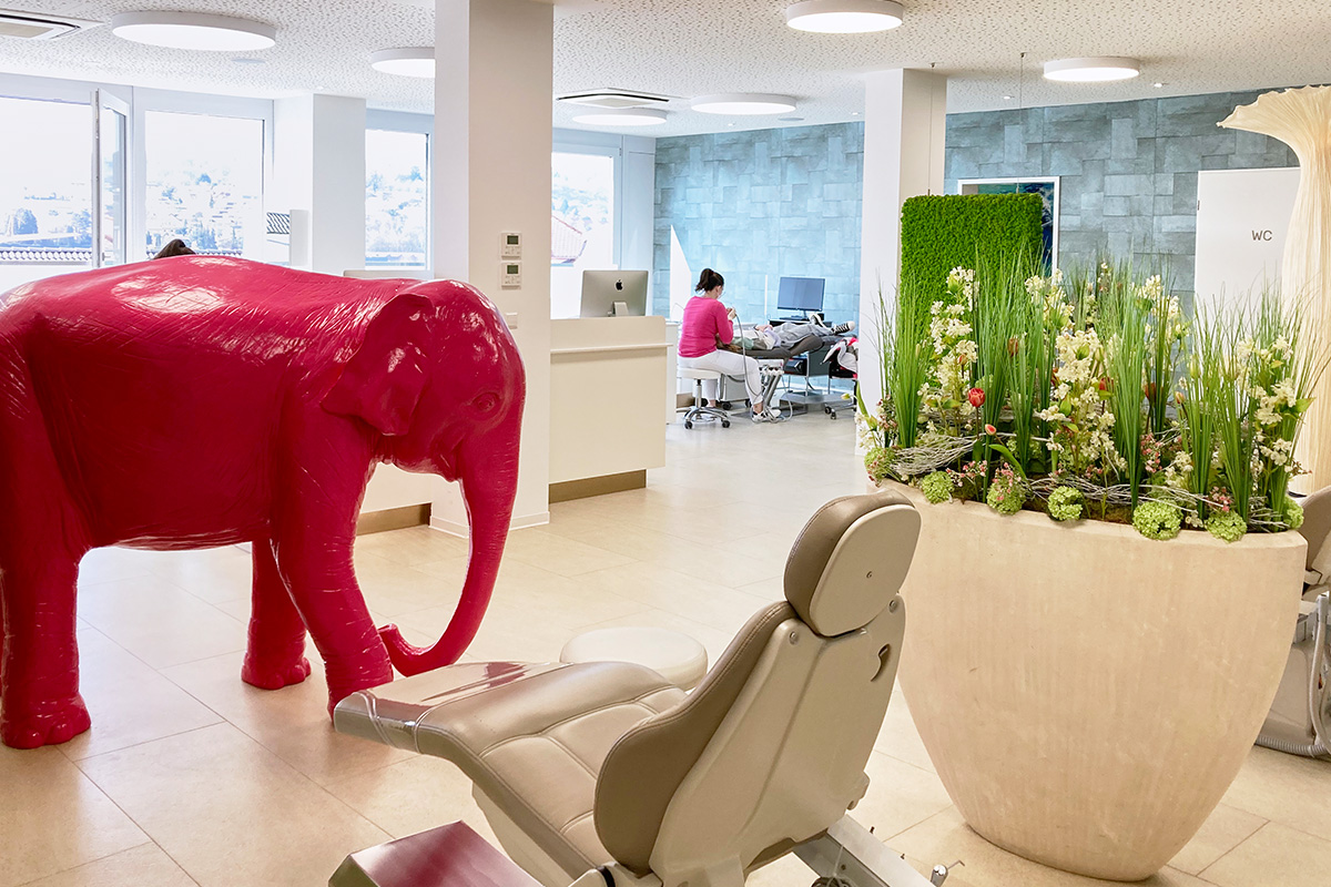 Ein Behandlungsstuhl vor einem rosa Elefanten mit mit einem Pflanzenkübel und einer arbeitenden Frau im Hintergrund
